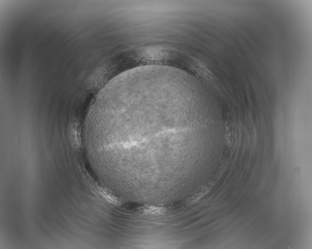 X0000058800718200510171347