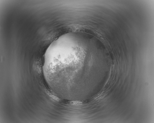 X0000058800719200510171347