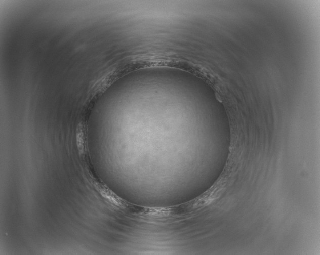 X0000058800720200510171347