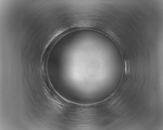 X0000058800723200510171346