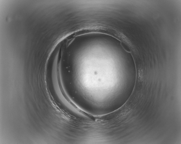 X0000058800724200510171346