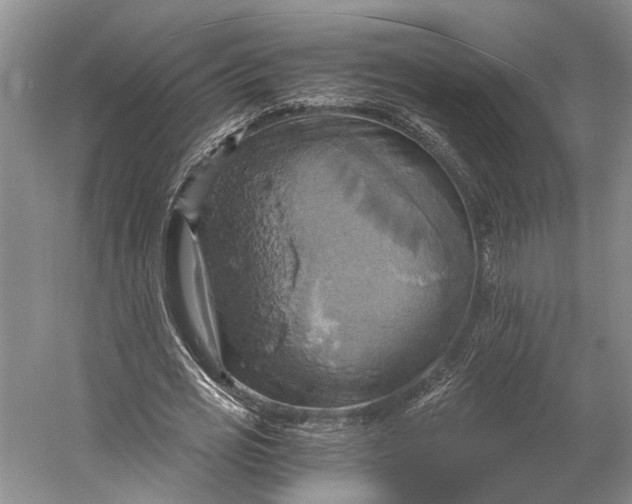 X0000058800725200510171346