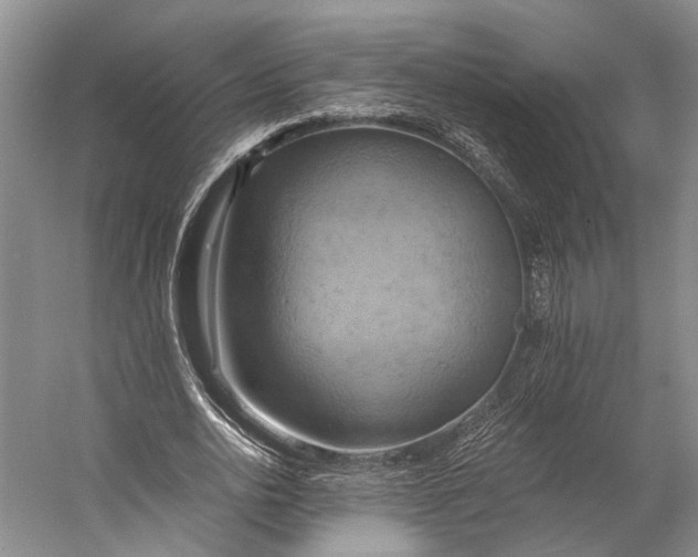 X0000058800726200510171346