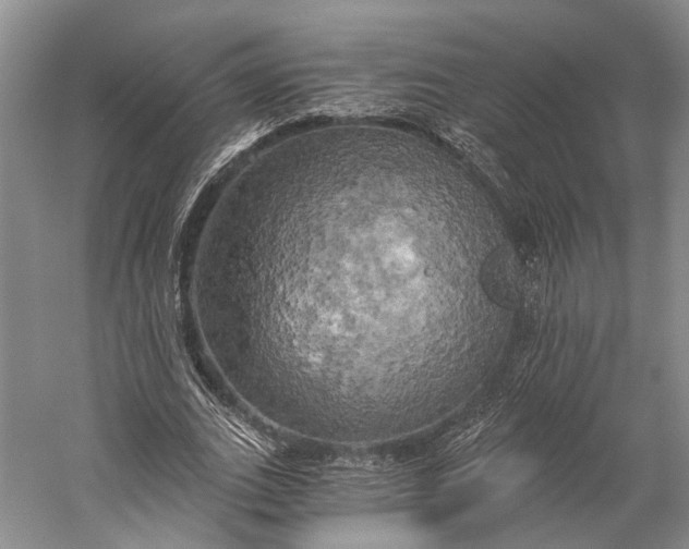 X0000058800727200510171346