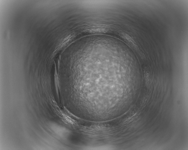 X0000058800729200510171346