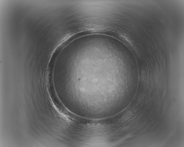 X0000058800730200510171346