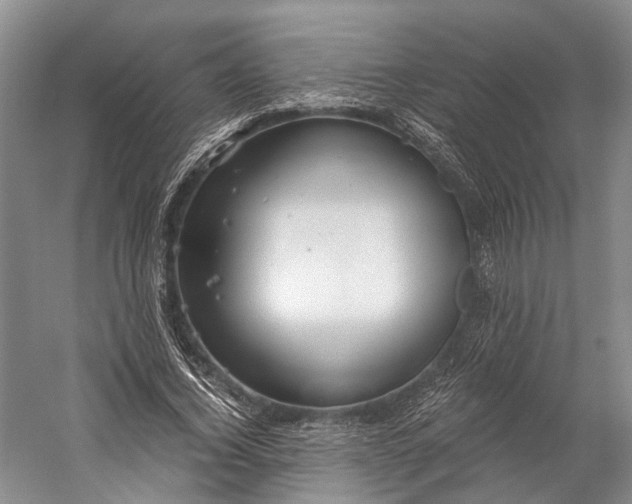 X0000058800732200510171346