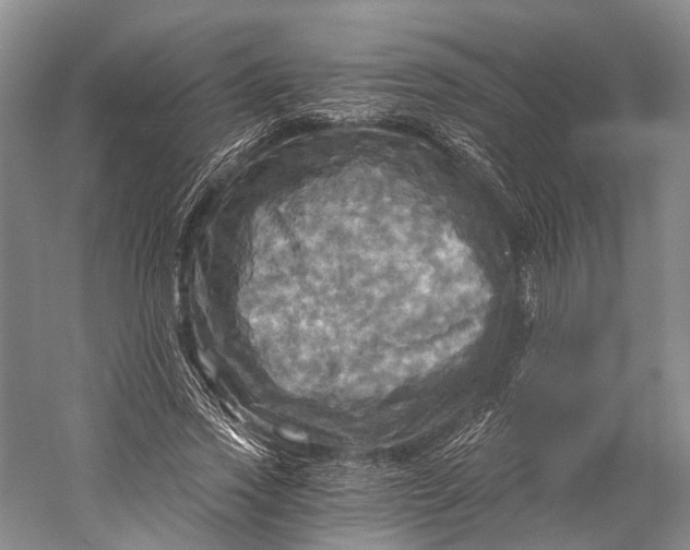 X0000058800733200510171346