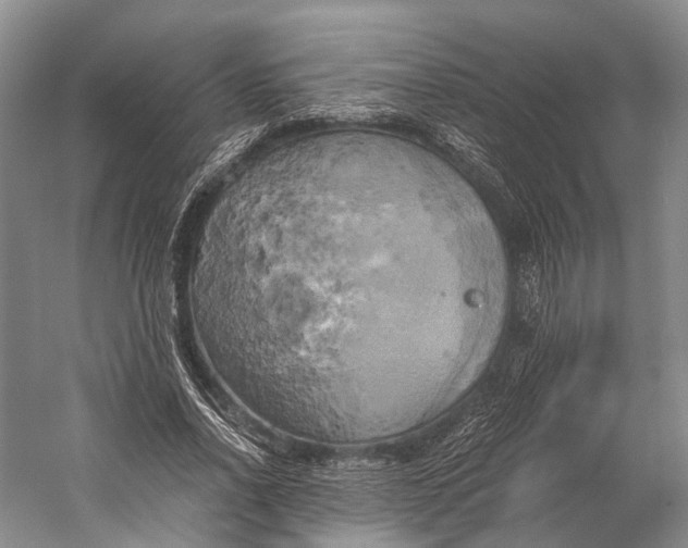 X0000058800734200510171346