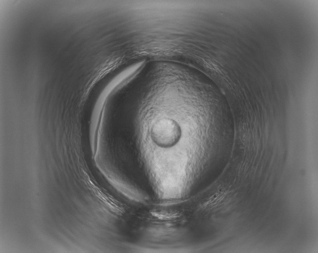 X0000058800735200510171346