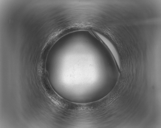 X0000058800736200510171346