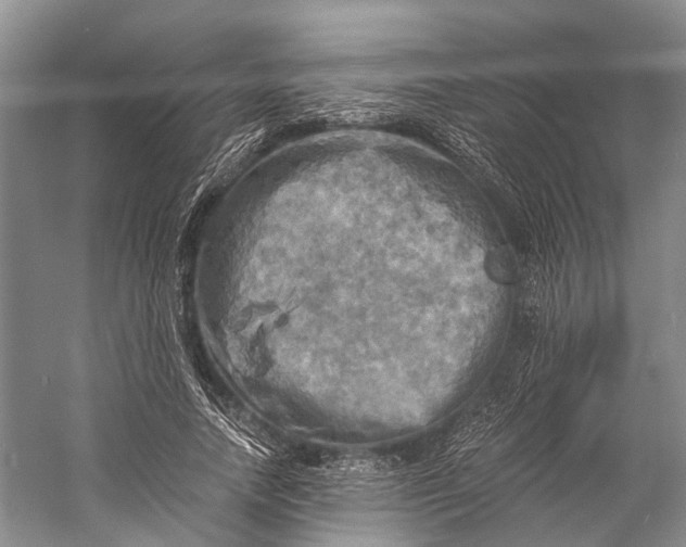 X0000058800738200510171346