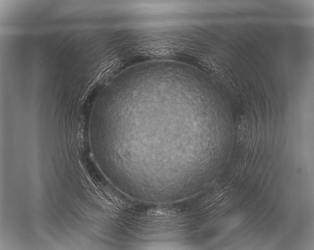 X0000058800739200510171346