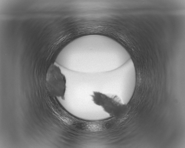 X0000058800741200510171346