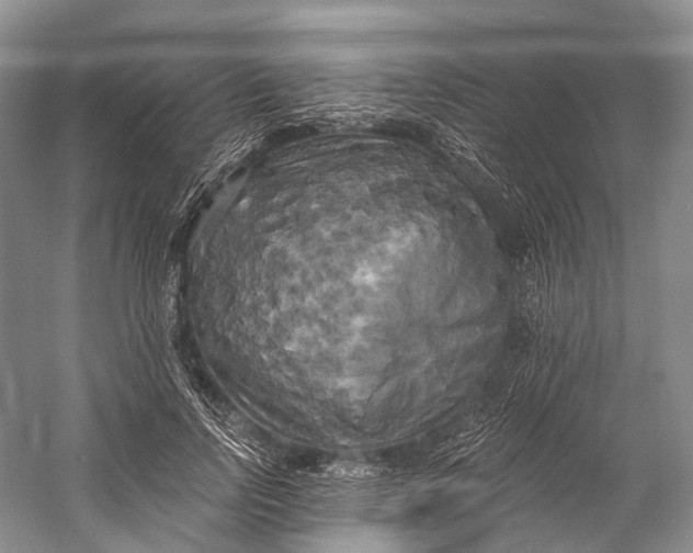 X0000058800742200510171346