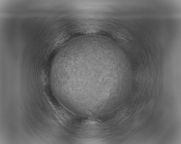 X0000058800743200510171346