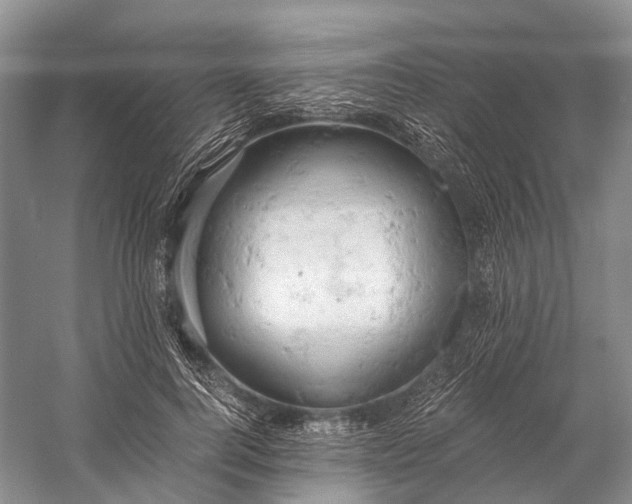 X0000058800744200510171346