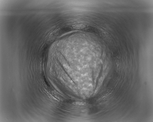 X0000058800745200510171346