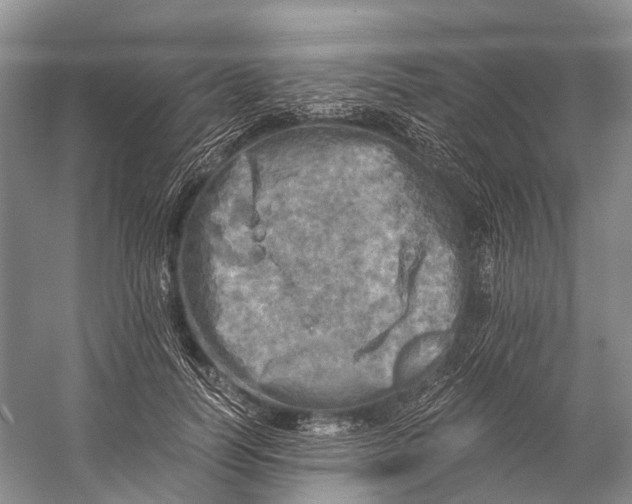 X0000058800746200510171346