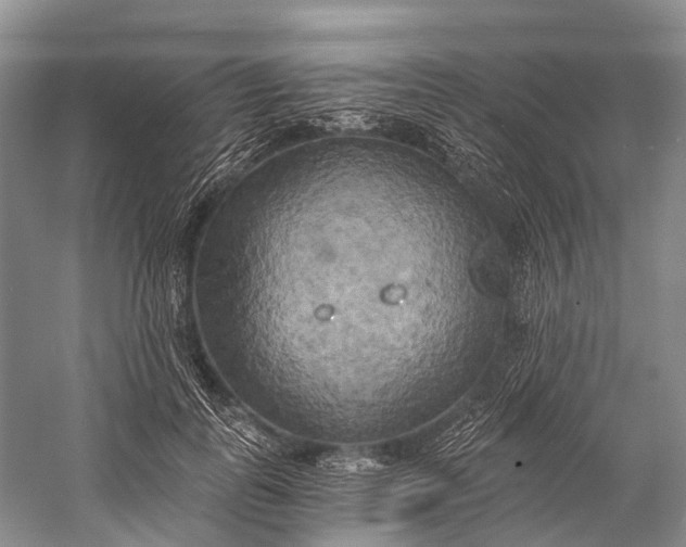 X0000058800747200510171346