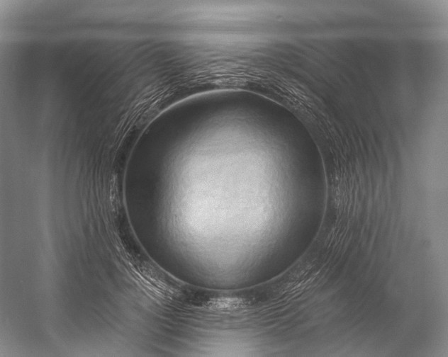 X0000058800748200510171346