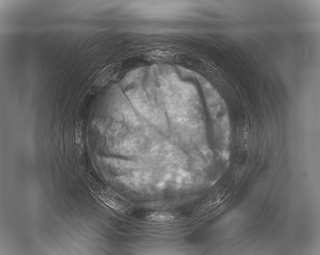 X0000058800749200510171346