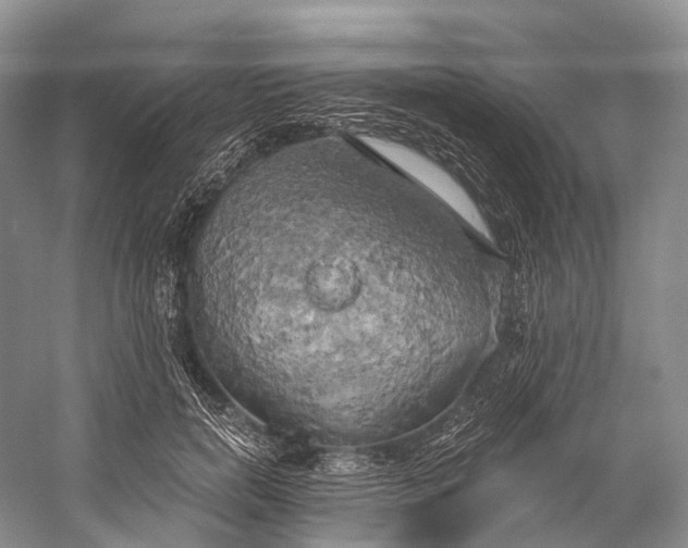 X0000058800750200510171346