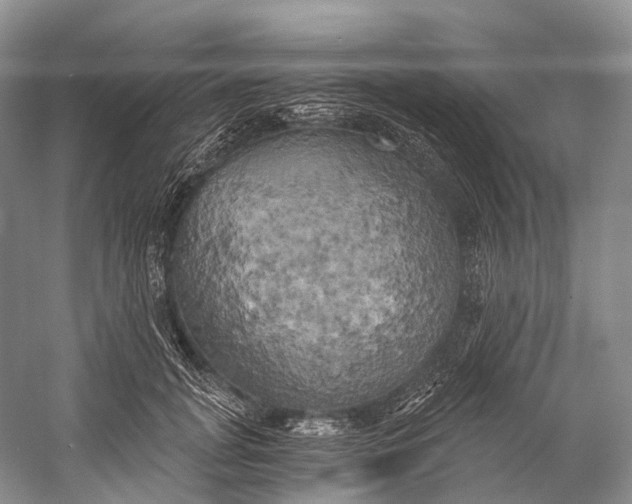 X0000058800751200510171346