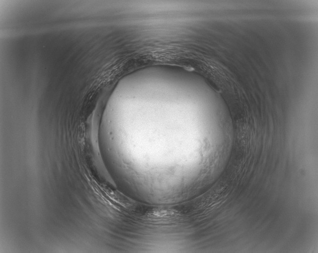 X0000058800752200510171346