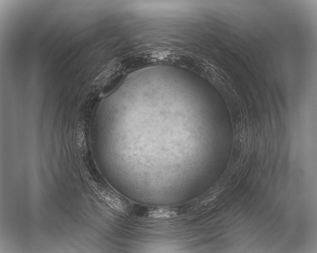 X0000058800754200510171346