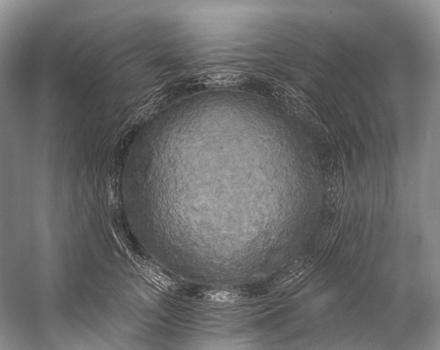 X0000058800755200510171346