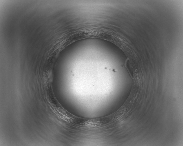 X0000058800756200510171346