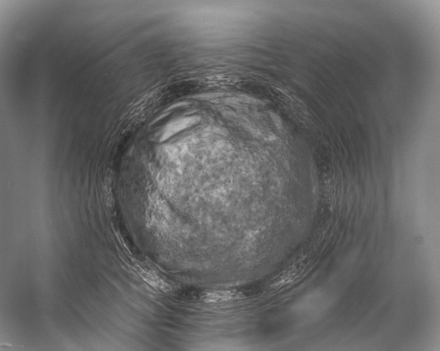 X0000058800757200510171346