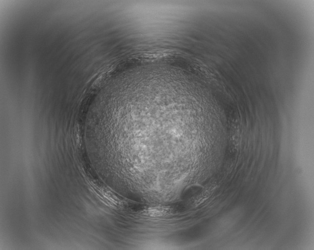 X0000058800758200510171346