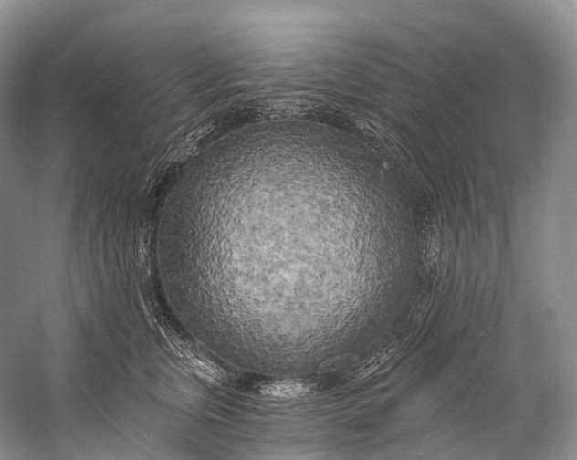 X0000058800759200510171346