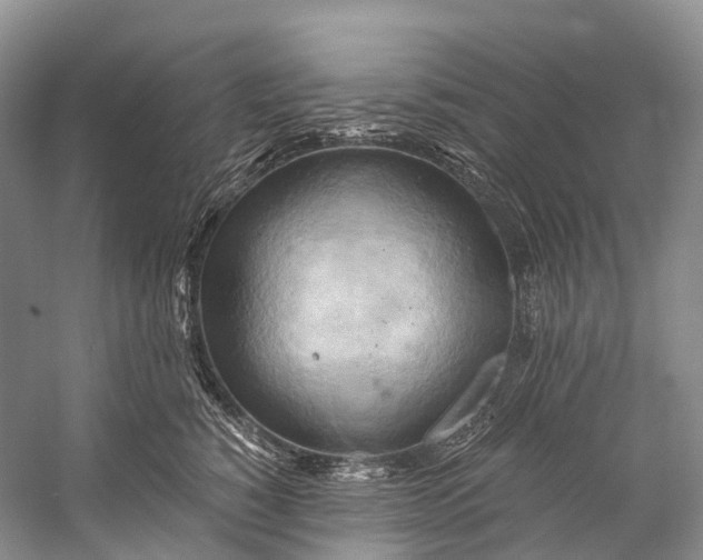 X0000058800760200510171347