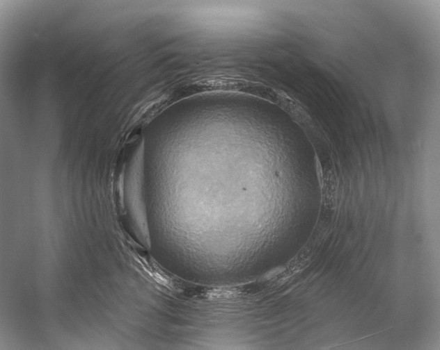 X0000058800762200510171347