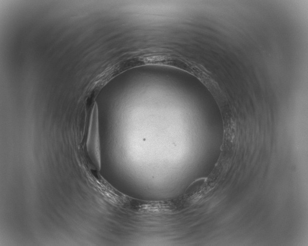 X0000058800763200510171347