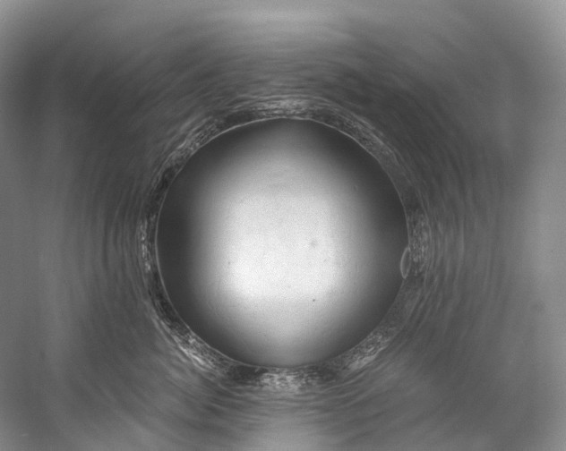 X0000058800764200510171347