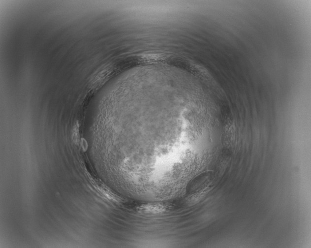 X0000058800765200510171347