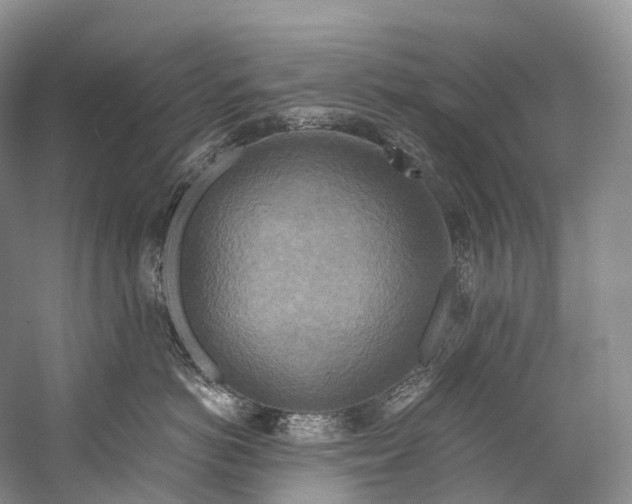 X0000058800766200510171347