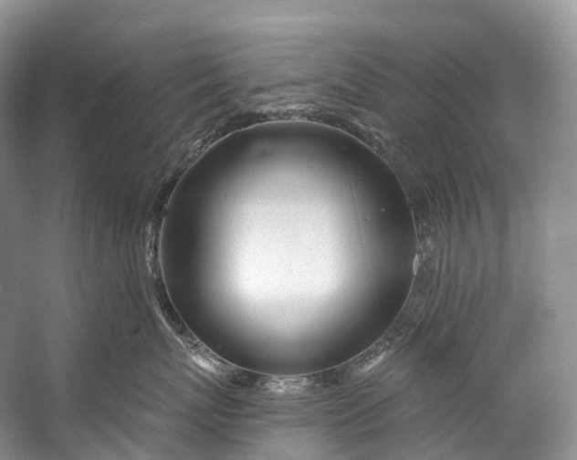 X0000058800767200510171347