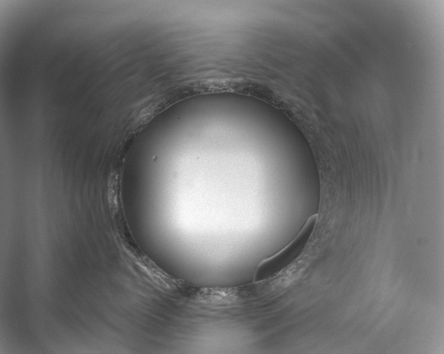 X0000058800768200510171347