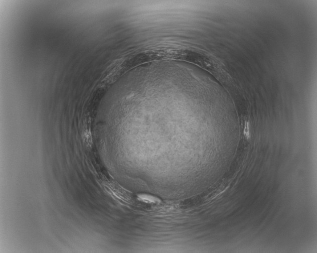 X0000058800771200510171346