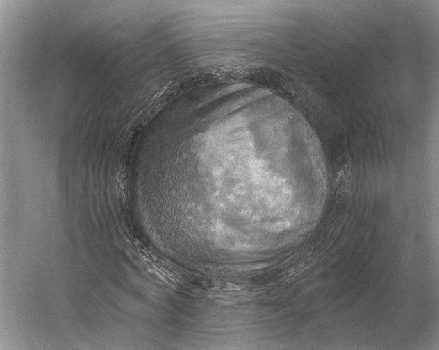 X0000058800772200510171346