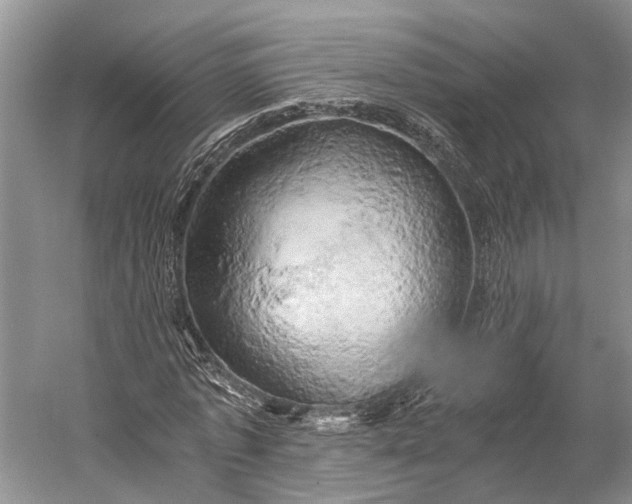 X0000058800773200510171346