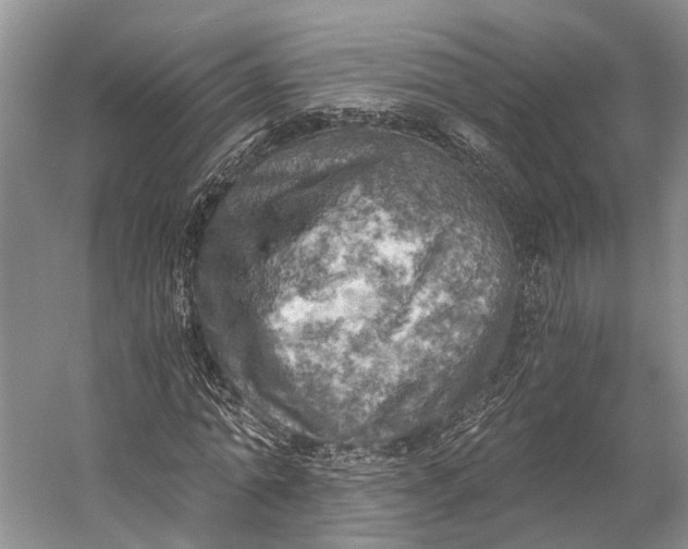 X0000058800774200510171346