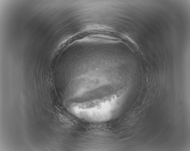 X0000058800775200510171346