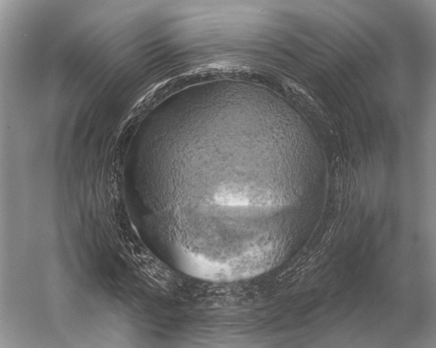 X0000058800776200510171346