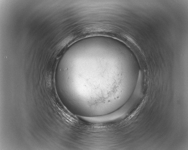 X0000058800777200510171346